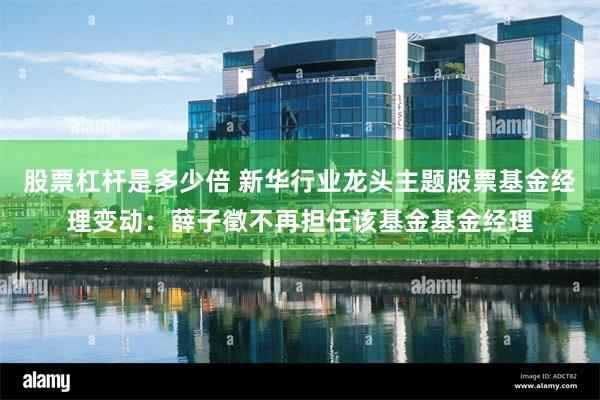 股票杠杆是多少倍 新华行业龙头主题股票基金经理变动：薛子徵不再担任该基金基金经理