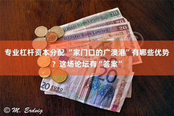 专业杠杆资本分配 “家门口的广澳港”有哪些优势？这场论坛有“答案”