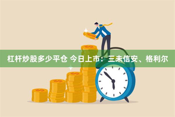 杠杆炒股多少平仓 今日上市：三未信安、格利尔