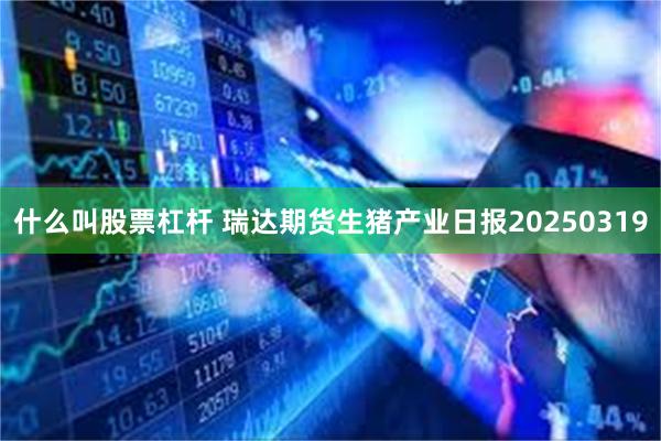 什么叫股票杠杆 瑞达期货生猪产业日报20250319
