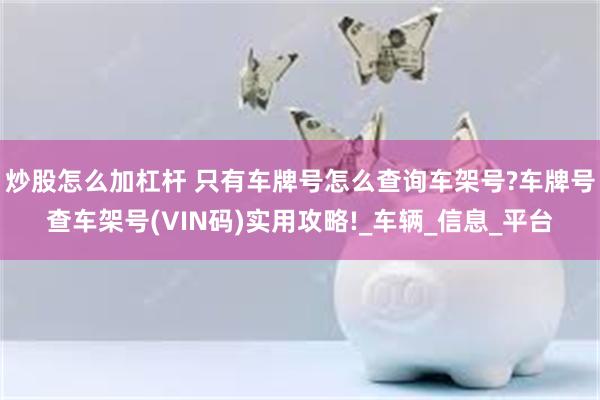炒股怎么加杠杆 只有车牌号怎么查询车架号?车牌号查车架号(VIN码)实用攻略!_车辆_信息_平台