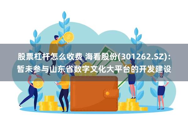 股票杠杆怎么收费 海看股份(301262.SZ)：暂未参与山东省数字文化大平台的开发建设