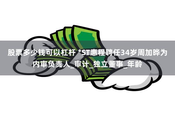 股票多少钱可以杠杆 *ST惠程聘任34岁周加晔为内审负责人_审计_独立董事_年龄