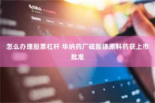 怎么办理股票杠杆 华纳药厂硫酸镁原料药获上市批准